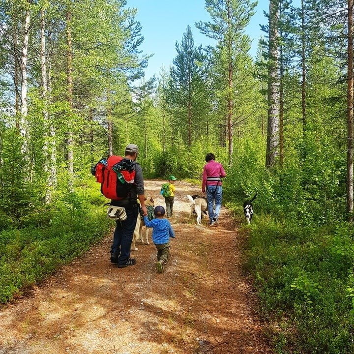 Familj promenad med hundar i skogen