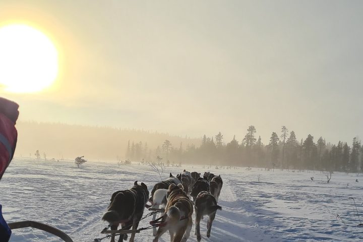 a man and a dog in the snow