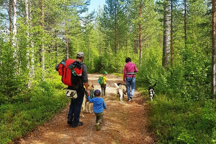 a group of people in a forest