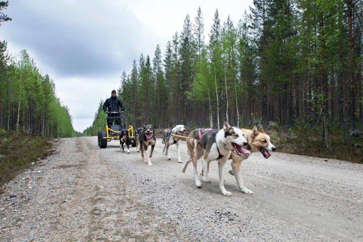 a group of people riding horses on a dirt road