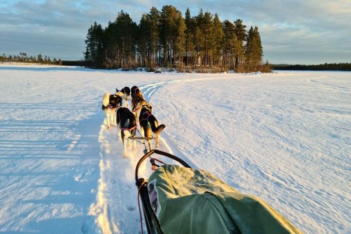 a man riding a horse in the snow