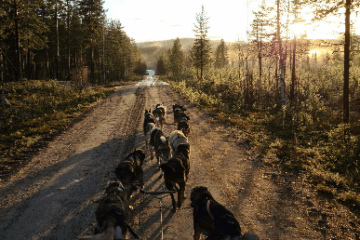 a group of people walking down a dirt road