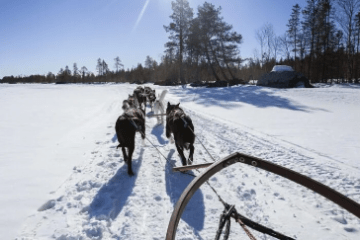 a group of people cross country skiing in the snow