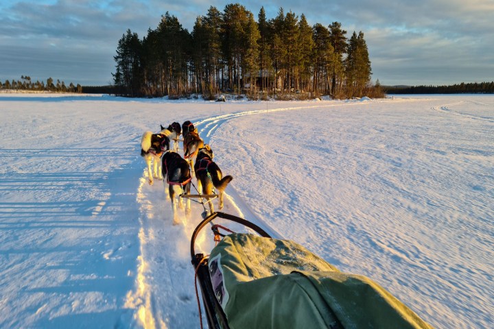 a group of people riding skis on a body of water