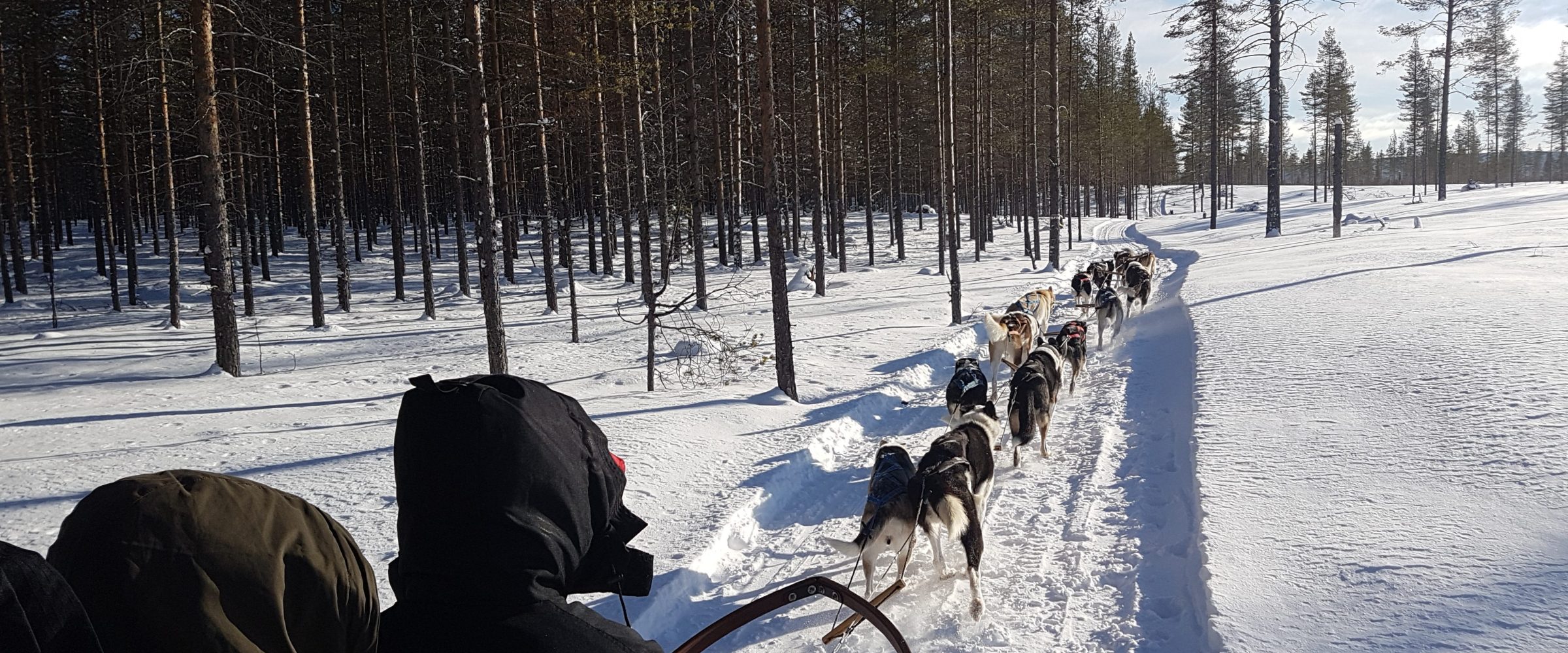 a group of people walking in the snow