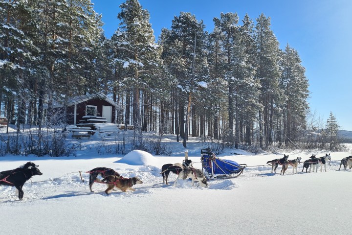 a group of people riding on the back of a horse in the snow