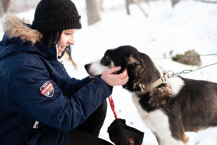 a person petting a dog