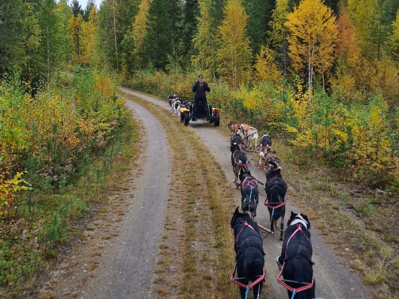 a group of people walking on the side of a road