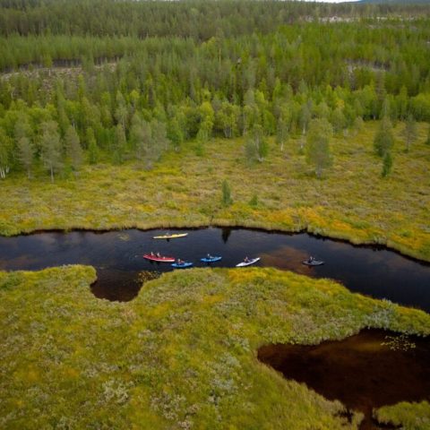 Aerial view of kayakers paddling on a winding river through a lush green forest.