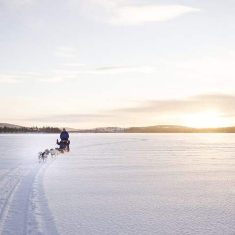 Person dog sledding on a snowy plain with a sunrise in the background.