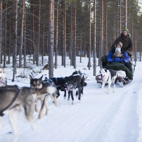 Two people on a dog sled in a snowy forest with huskies pulling the sled.