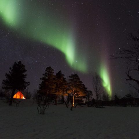 Northern lights over snowy landscape with illuminated tent and trees at night.