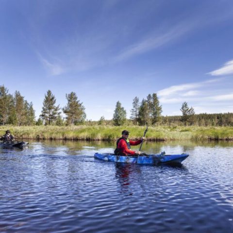 Two people kayaking on a calm lake with trees and blue sky in the background.