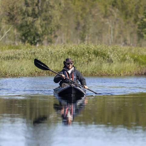 Person canoeing on a calm river surrounded by green trees and grassland.