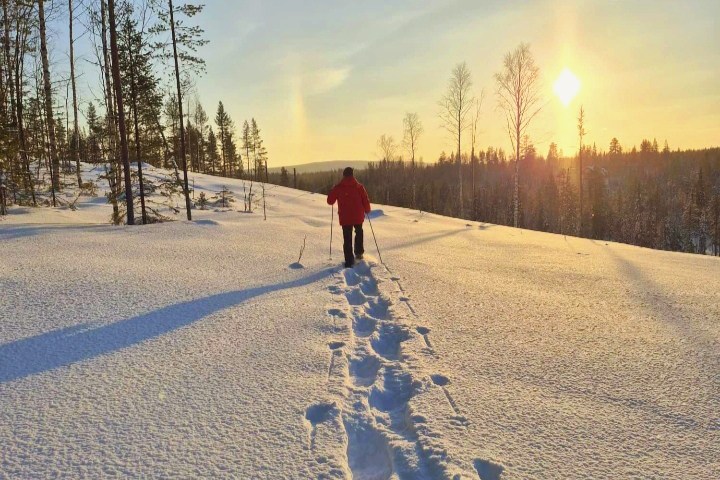 Person in red jacket skiing uphill in snowy landscape at sunset.