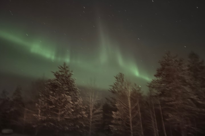 Northern lights over a snowy forest at night.